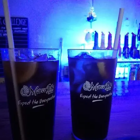 Marco Polo Party